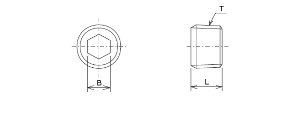 Blanking plug
 Dimensions